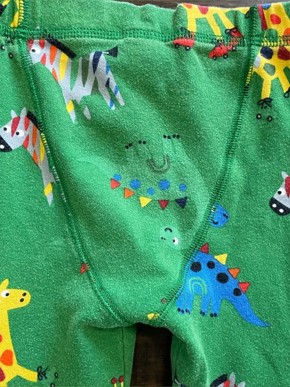 Next Green Zebra Long Pajama Set
